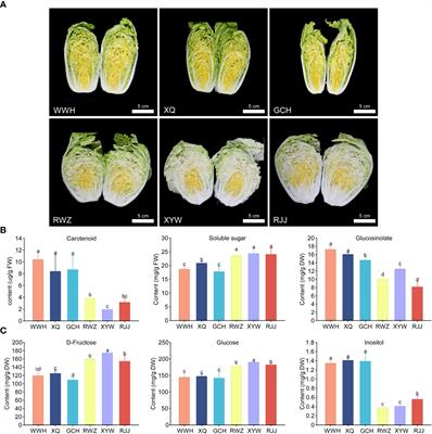 Identification of key genes controlling soluble sugar and glucosinolate biosynthesis in Chinese cabbage by integrating metabolome and genome-wide transcriptome analysis